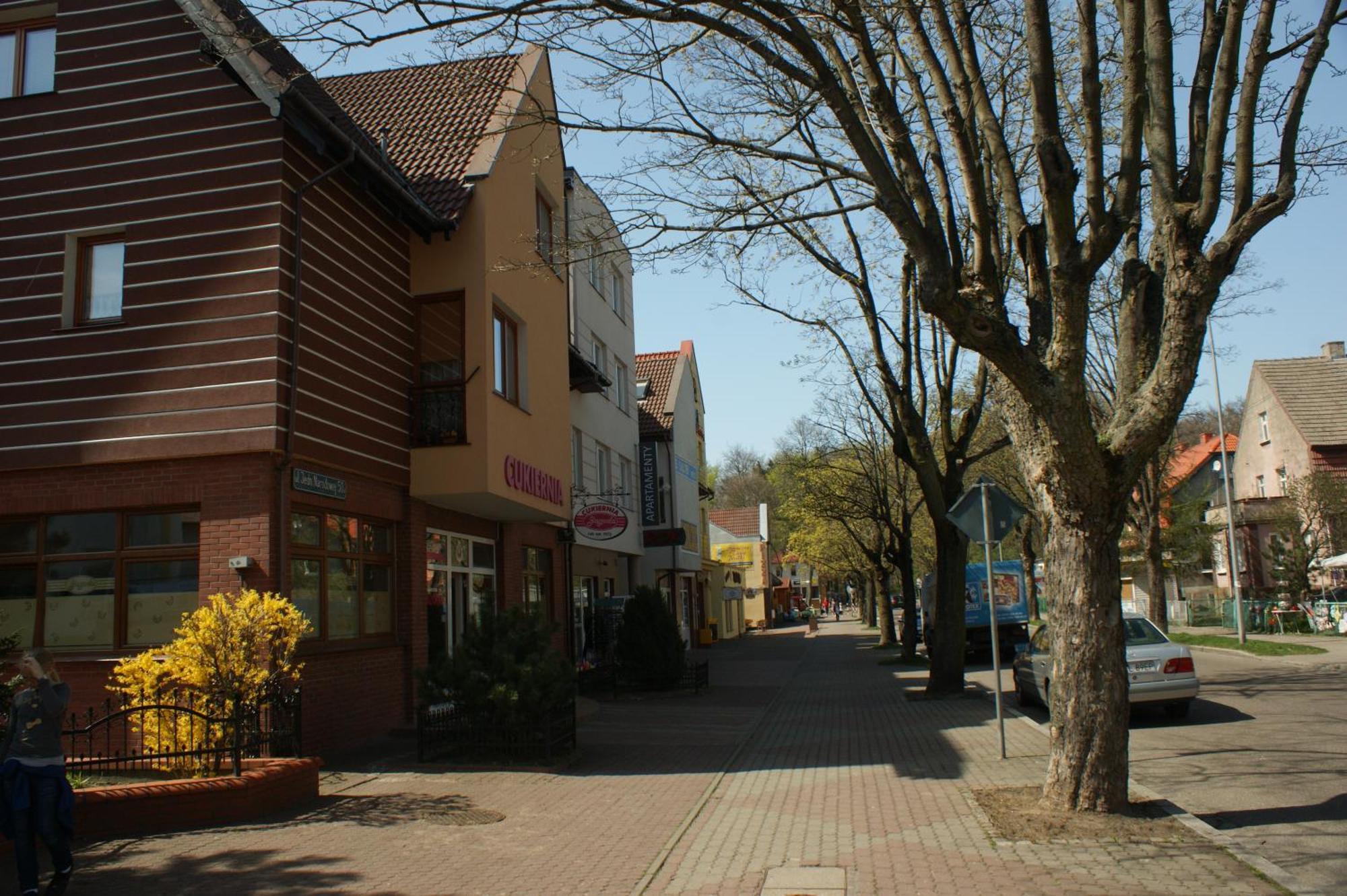 Apartamenty Rok コウォブジェク エクステリア 写真